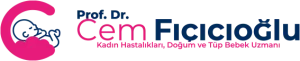 Prof. Dr. Cem Fıçıcıoğlu